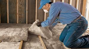 Professional Insulation Installation & Removal in Lake Placid, FL